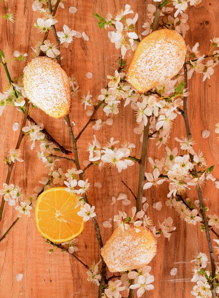 Madeleine au citron 