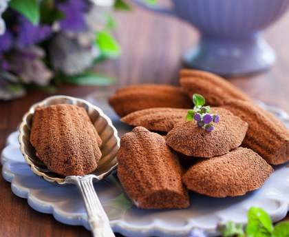 Madeleines tout chocolat