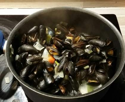 Moules à la belge