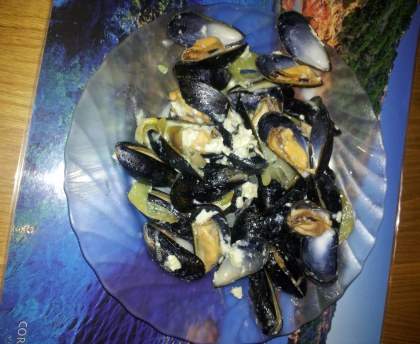 Moules au camembert