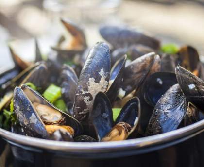 Moules au pastis