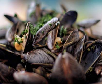 Moules sauce câpres-cornichons