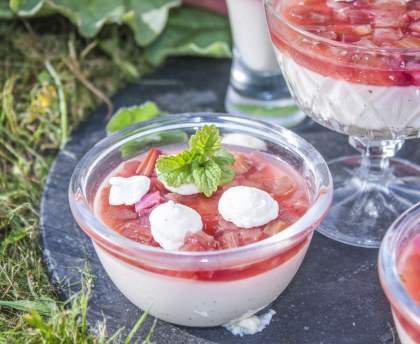 Mousse crémeuse à la rhubarbe