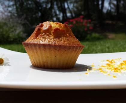 Muffins aux zestes d'orange et de citron