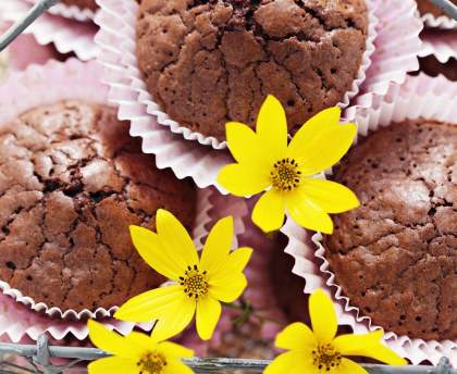 Muffins très chocolat