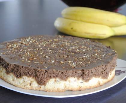 Noisetier au Chocolat
