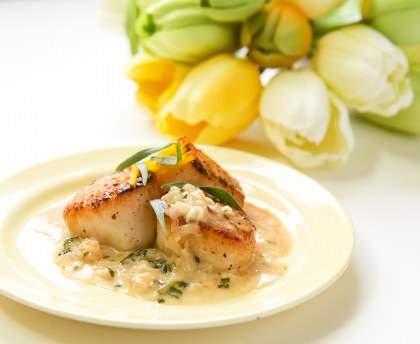 Noix de saint jacques à la crème