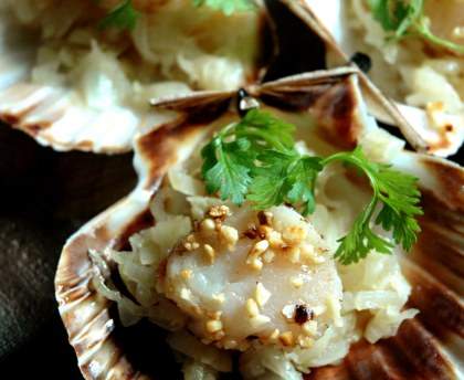 Noix de Saint-Jacques aux échalotes gratinées