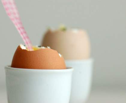 Oeufs cocotte au fromage frais