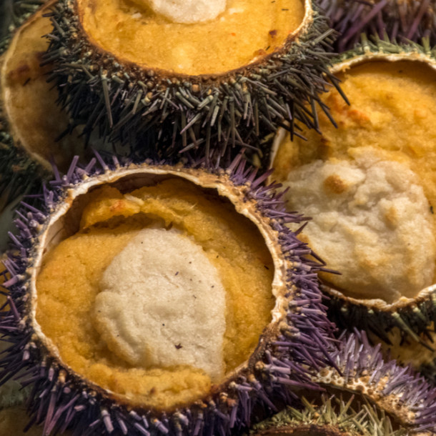 Oursins farcis