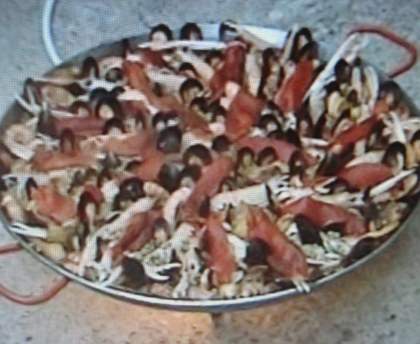 Paella de la paillotte aux blancs de seiche, lapin et crustacés...