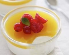 Panacotta au nectar de mangue et fruits frais