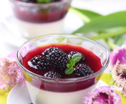 Panna cotta à la mûre