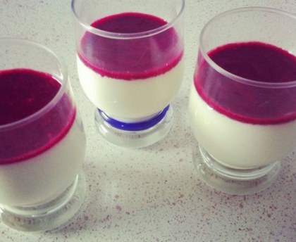Panna Cotta au jasmin