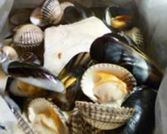 Papillotes de poisson blanc à la vanille