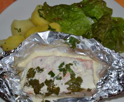 Papillotes de saumon à la coriandre