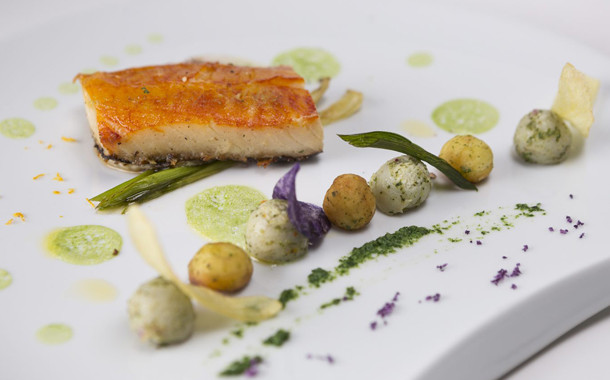Pavé de haddock, émulsion au persil plat, chips et billes de légumes
