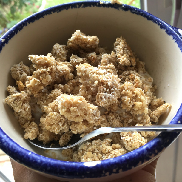 Pépites de son d'avoine minceur (cruesli)