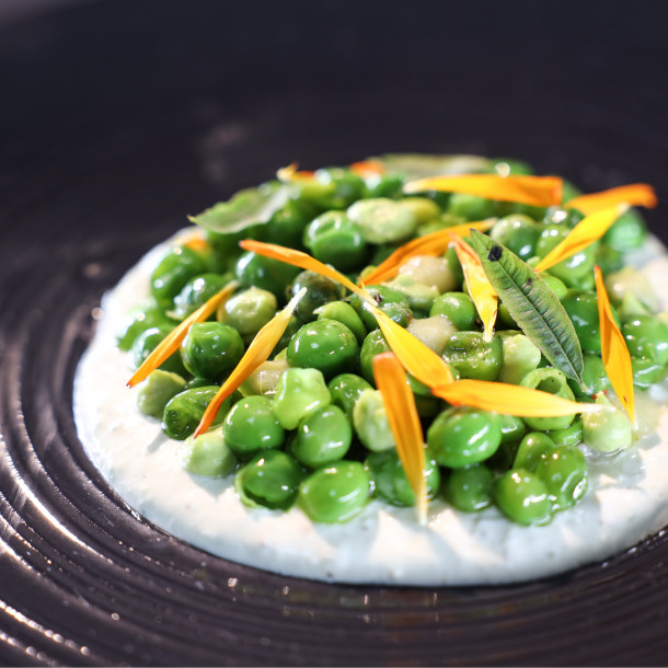 Petit pois, raifort, huître, citron vert et crackers sarrasin 