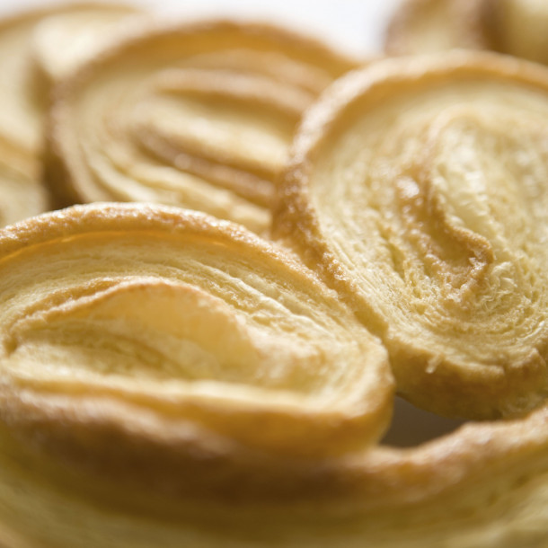 Petits palmiers maison