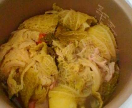 Potée de légumes au poulet