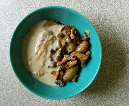 Poulet à la crème et fricassée de girolles