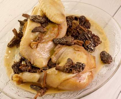 Poulet de Bresse au vin jaune et aux morilles