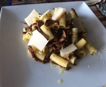 Rigatoni aux champignons des bois