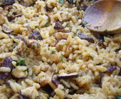 Risotto aux champignons shii také (ou lentin)