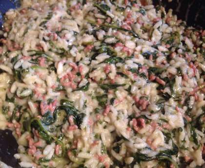 Risotto aux épinards et au porc