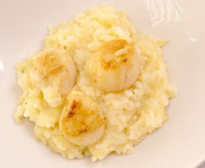 Risotto crémeux aux coquilles saint-jacques