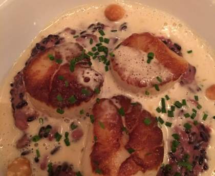 Risotto venere aux saint jacques
