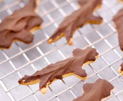 Sablés dinosaures nappés au chocolat
