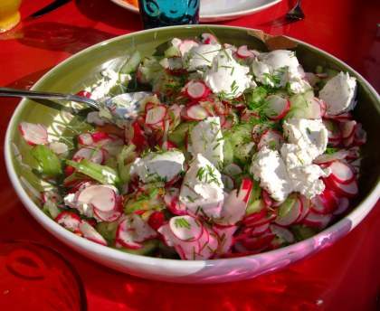 Salade concombre, radis, chèvre