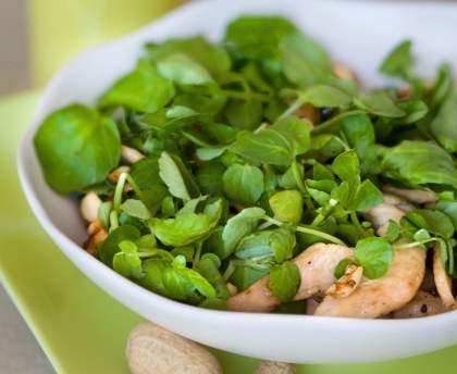 Salade de poulet à la vietnamienne