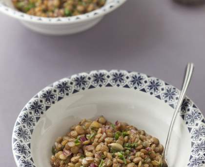 Salade lentilles coriandre et cardamome de Jeanne