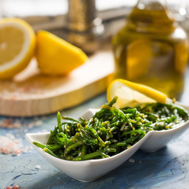 Salicorne au vinaigre