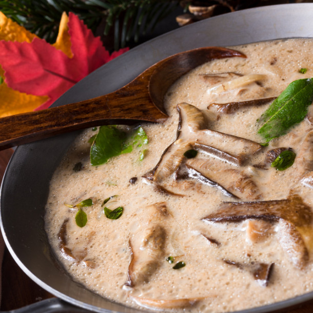Sauce aux champignons au Companion