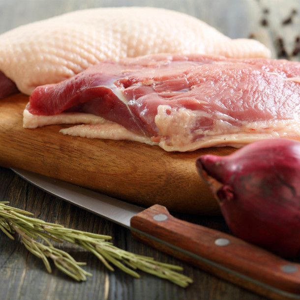 Sauté de canard en sauce