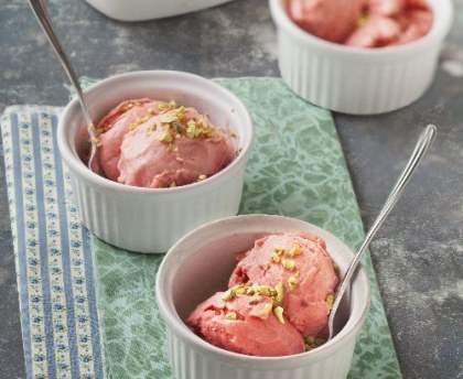 Sorbet à la rhubarbe