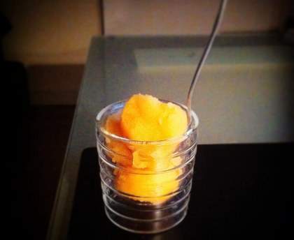 Sorbet au melon