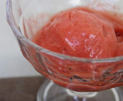 Sorbet fraise & rhubarbe
