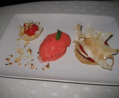 Sorbet fruits rouges