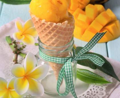 Sorbet Mangue Nectarine