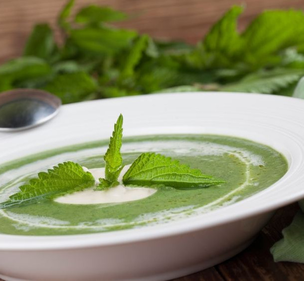Soupe d'orties