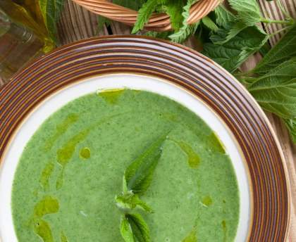 Soupe d'orties