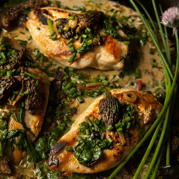 Suprême de pintade aux morilles et vin jaune au four