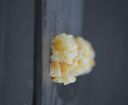 Tartare du Capitaine : Haddock au piment d'Espelette
