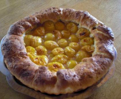 Tarte aux prunes de mes aïeux (pâte brioché)