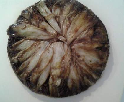 Tatin automnale entre nord et sud
